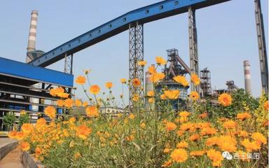 回眸2019(三)|堅持綠色發(fā)展理念 推動企業(yè)高質量發(fā)展